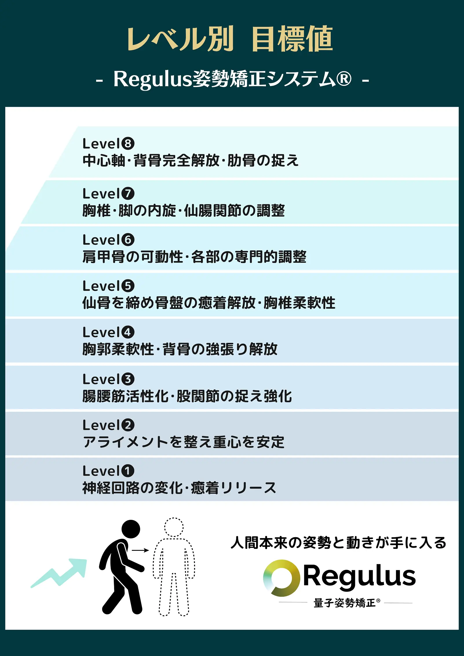 レベル別の指導システム